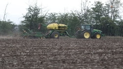 Аграрии Ипатовского округа засеяли озимыми 147,2 тыс. га