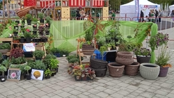 Жительница Ипатовского округа открыла мастерскую по соцконтракту