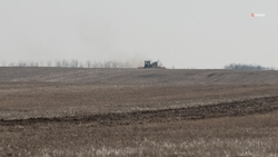 Поля под картофель увеличили на 20% на Ставрополье  