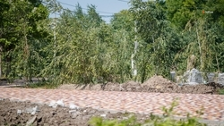 Зону отдыха в посёлке Ипатовского округа благоустроят в два этапа