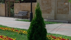 В Ипатовском округе приступили к благоустройству первого запланированного объекта