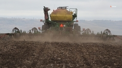 Сев яровых культур продолжается в Ипатовском округе 